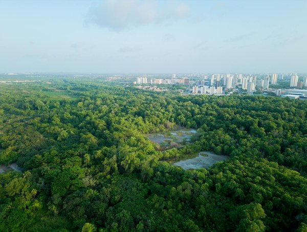 Le rôle des médias dans la propagation des stéréotypes